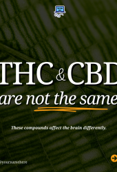 THC and CBD are not the same